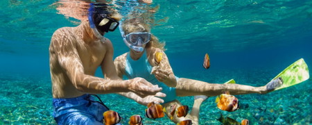 Snorkel and Scuba